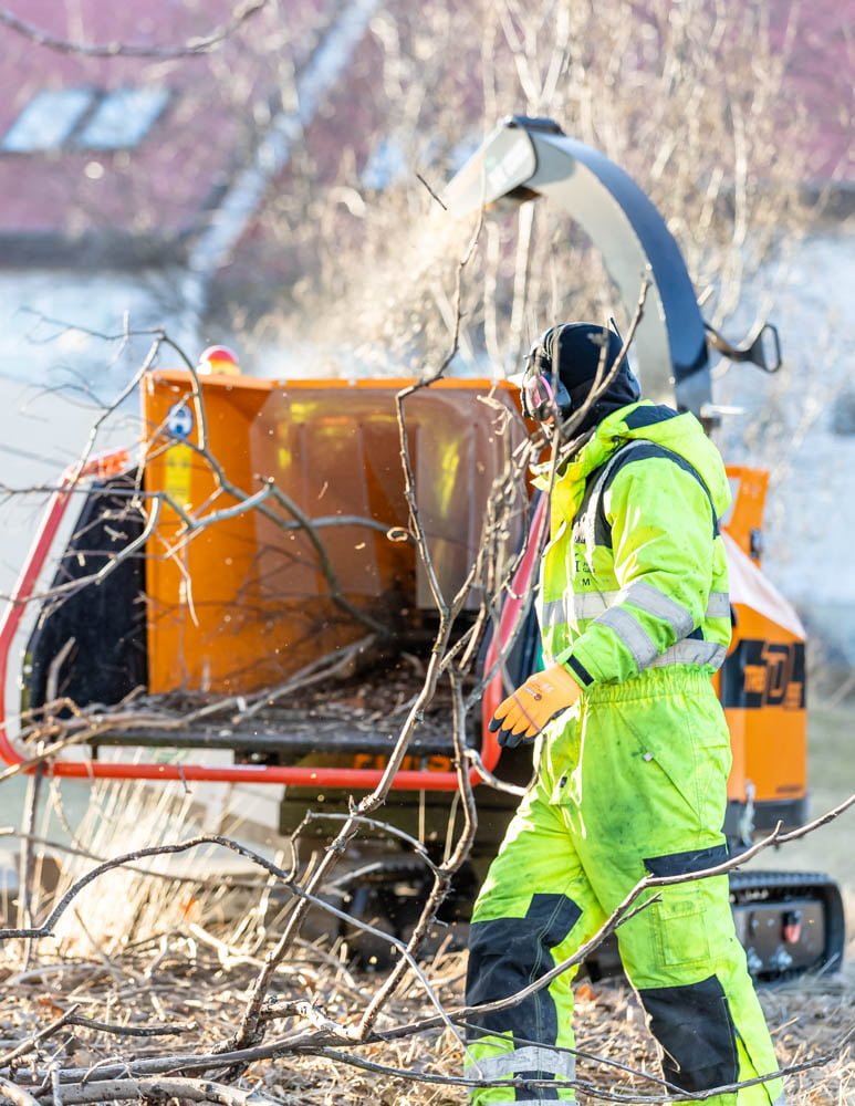 Flottur greinakurlari. Trjákurlari frá Först